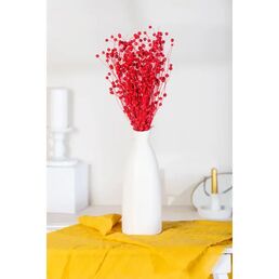Букет из сухих цветов Лен красный h60 см