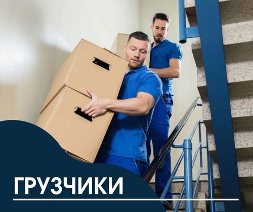 Услуги грузчиков, Бурханова Наталья Леонидовна 7900░░░░░░░ Липецкая область