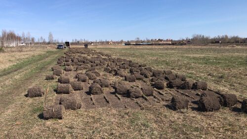 Аренда подрезчика дерна в Иваново и области., Александр  7925░░░░░░░ Ивановская область