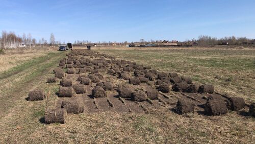 Аренда подрезчика дерна в Иваново и области., Александр  7-░░░-░░░░░░8 Ивановская область