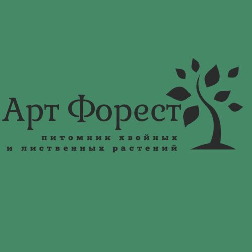 Озеленение, рассада, растения, Anna Rybachek 7901░░░░░░░ Свердловская область