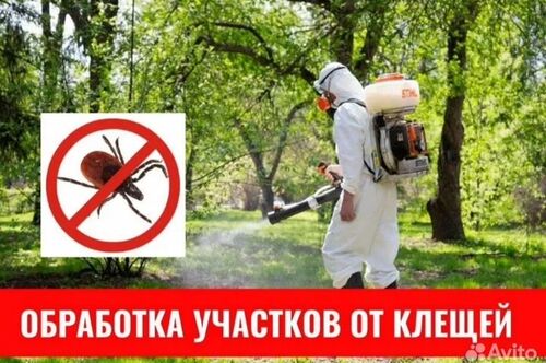 Покос травы, Николай 7988░░░░░░░ Республика Адыгея