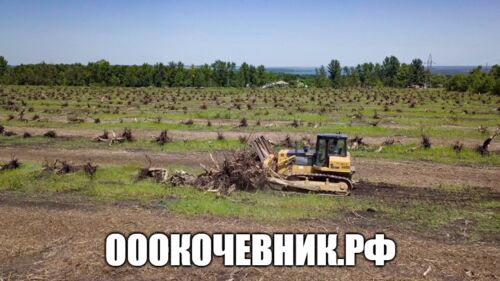 Вырубка, выкорчёвка, переработка в щепу деревьев и корней, ООО «Кочевник»  7-░░░-░░░░░░9 Краснодарский край