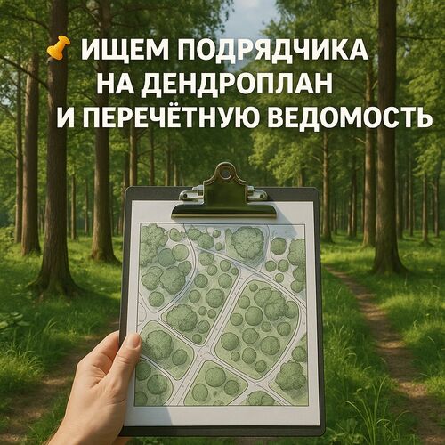 Ищем подрядчика на дендроплан и перечётную ведомость, Елизавета 7910░░░░░░░ Москва