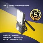 Прожектор светодиодный Ritter Profi 53422 2 50 Вт 5000 Лм 180-240В с датчиком движения холодный белый свет 6500К IP65 черный