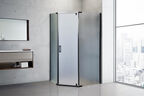 Душевой уголок Royal Bath 120х80 RB 1280TR-C-BL стекло матовое, профиль черный