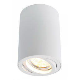 Спот потолочный Arte Lamp Sentry GU10 50 Вт 1 кв.м белый IP20 (A1560PL-1WH/6037)