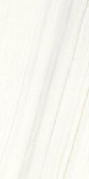 Керамогранит Ariostea