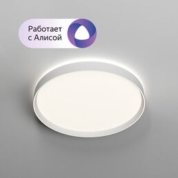 Потолочный накладной светильник Denkirs DK6511-WH