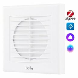 Вентилятор вытяжной Ballu BAF-EX 100 G