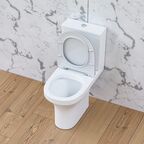 Унитаз-компакт Damixa Skyline DX35C8600SC белый, с крышкой микролифт