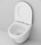 Комплект инсталляция с подвесным унитазом Am.Pm Inspire IS450A38.501700