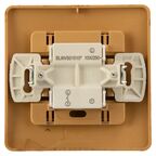 Выключатель встраиваемый Systeme Electric Blanca 1 клавиша 10 А цвет ясень