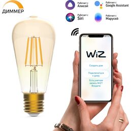 Филаментная лампа Gauss Smart Home 1290112