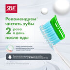 Антибактериальная зубная паста SPLAT лечебные травы для комплексной защиты и профилактики воспаления десен, 100 мл