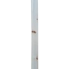 Вагонка 16x94x1200 мм осина АВ. 10шт