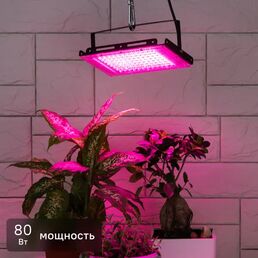 Прожектор светодиодный для растений Эра Fito 80 Вт красно-синий спектр розовый свет