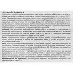 Астильба Geolia Арендса Радиус