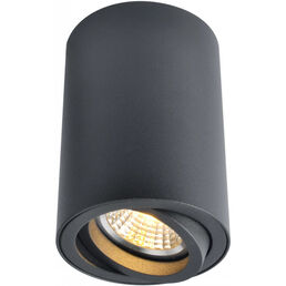 Спот потолочный Arte Lamp Sentry GU10 50 Вт 1 кв.м черный IP20 (A1560PL-1BK/6720)