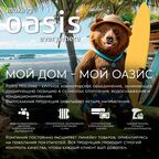 Насос погружной дренажный для грязной воды Oasis 800/12000/8, 12000 л/ч