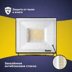 Прожектор светодиодный уличный Ritter Profi 53408 6 50 Вт 5000 Лм 180-240В холодный белый свет 6500К IP65 черный