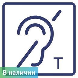 Визуальный знак "Помещение (зона) оборудовано индукционной петлей" ГОСТ Р 52131, ПОЛИСТИРОЛ