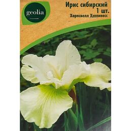 Ирис Geolia сибирский Харпсвелл Хэппинесс