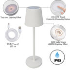 Светильник настольный Arte Lamp A1616Lt-1Wh