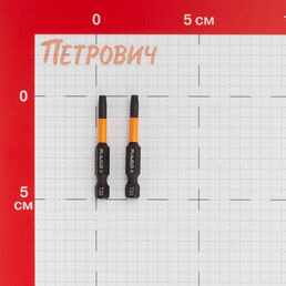 Бита Rage by Vira (554147) TORX T20 магнитная 50 мм торсионная (2 шт.)