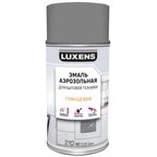 Эмаль аэрозольная для бытовой техники Luxens глянцевая цвет серебристый 210 мл