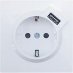 Розетка USB встраиваемая Lezard Zima с заземлением цвет белый