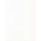 Мойка для кухни врезная Delinia 31x46 см глубина чаши 19 см кварц цвет белый