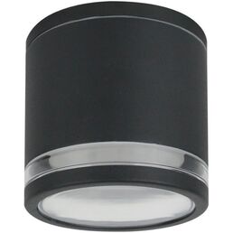 Потолочный уличный светильник IP65 Arte Lamp Nunki A1910PF-1BK