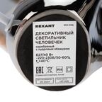 Настольная лампа Rexant Человечек цвет серебряный