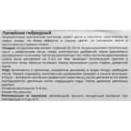 Лилейник Geolia гибридный Лаллебай Бэби