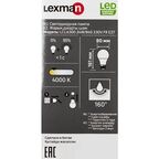 Лампочка светодиодная Lexman груша E27 3000 лм нейтральный белый свет 24 Вт