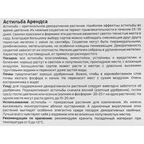Астильба Geolia Арендса Гиацинт