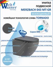 Унитаз подвесной WeltWasser WW Merzbach 043 MT-GR 10000009941 серый матовый