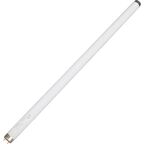 Лампа люминесцентная Osram T8 G13 18 Вт 590 мм нейтральный белый свет