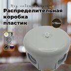 Коробка распределительная BIRONI "лизетта пластик" , для наружного монтажа, 78*35мм, цвет титан B1-521-26-K