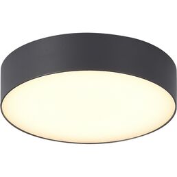Потолочный уличный светильник IP65 ST-Luce Sun SL9518.702.01 серый/белый LED 1*20W ST Luce