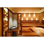 Масло для дерева износостойкое для бань и саун ProfiPaints Silver Sauna Oil 2.7л , Сено