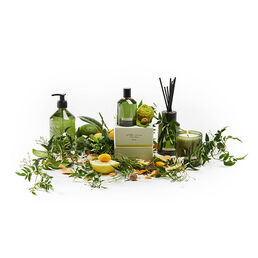 Сменный аромат для аромапопурри Christian Tortu Jardin Citrus Цитрусовые сады
