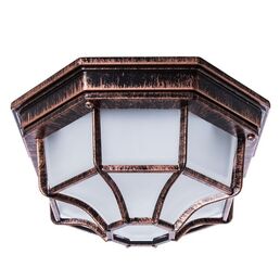 Уличный потолочный светильник IP44 Arte Lamp Pegasus A3100PL-1AC