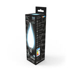 Лампа Gauss LED Filament Свеча на ветру OPAL E14 5W 450lm 4100К 1/10/50