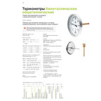 Термометр аксиальный Росма 1/2 НР(ш) d100 мм шток 100х6 мм 120°С (2539)