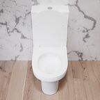 Унитаз-компакт Damixa Skyline DX35C8600SC белый, с крышкой микролифт