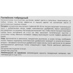 Лилейник Geolia гибридный Бэлла Лугози