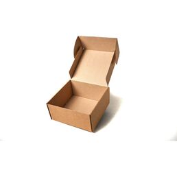 Самосборная картонная коробка PACK INNOVATION IP0GK0SS00175.170.85-200