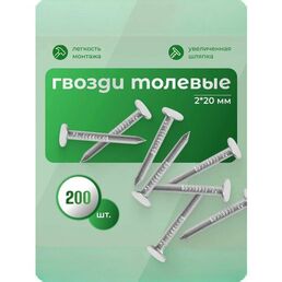 Гвоздь толевый "ВиС" 2х20 - 200 шт (оцинкованный)